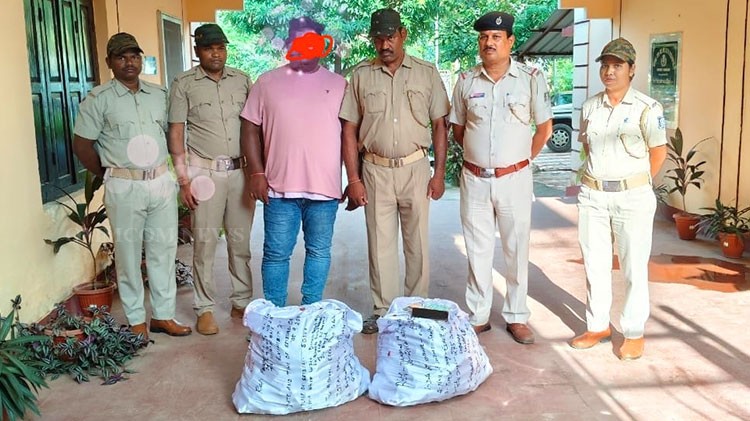 Paikmal Police Net a Big Catch: 550 Bottles of Illegal Cough Syrup Seized in Paikmal, Bargarh
